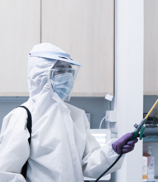 TemizlikPlus Hakkımızda